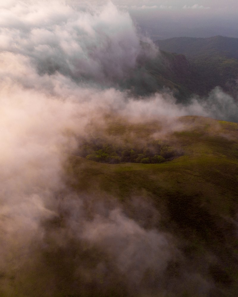 Photograph by Ravi Kiran Lokesh