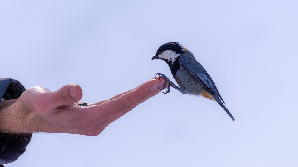 Photograph by Василий Шумкин