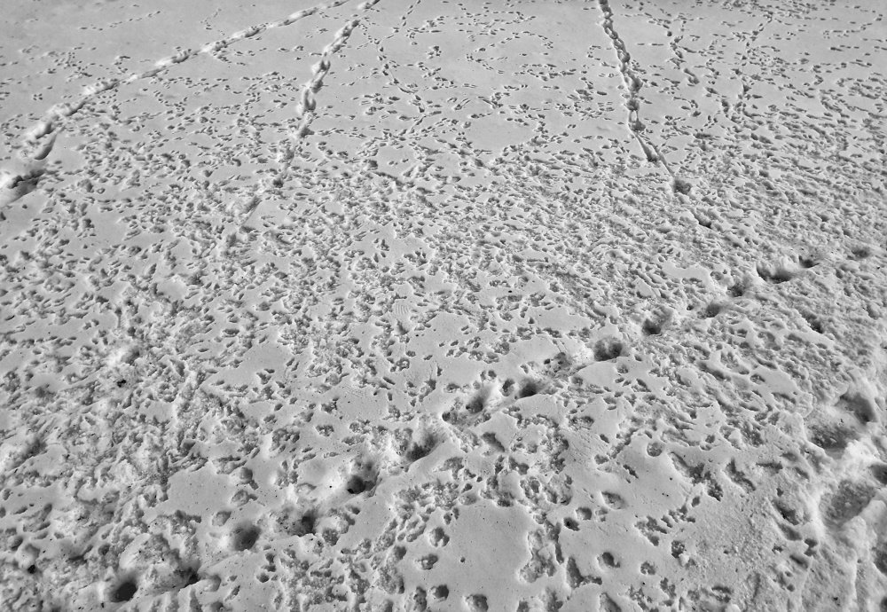 Photograph by Денис Козлов