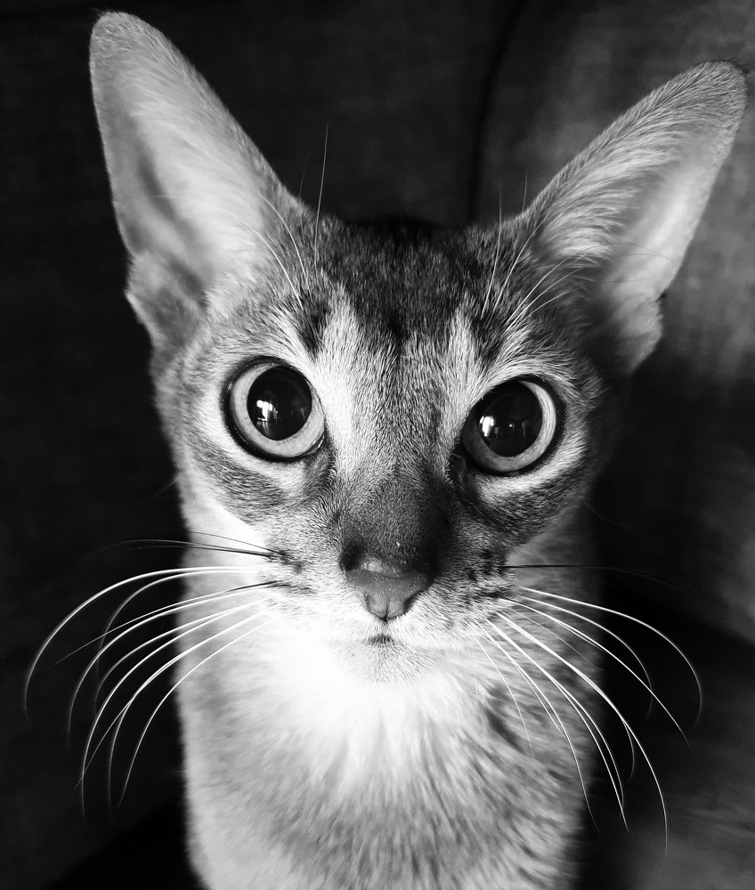 Photograph by Денис Козлов