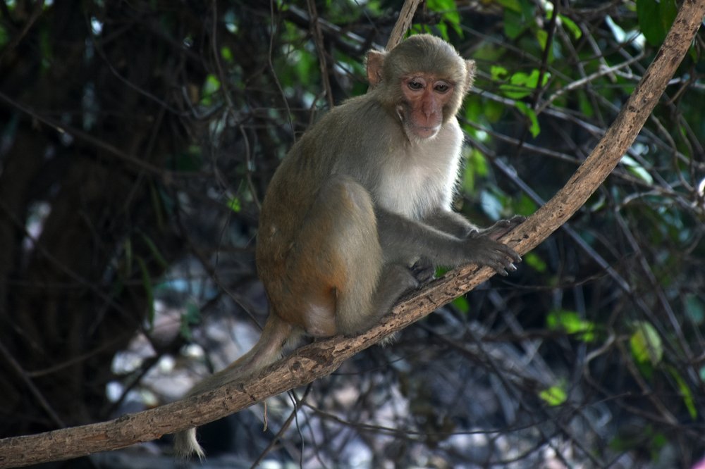 Фотография автора sujit kumar kumar