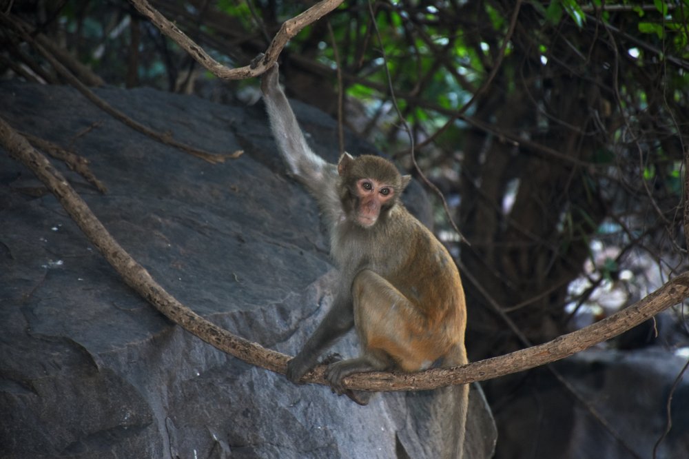 Фотография автора sujit kumar kumar