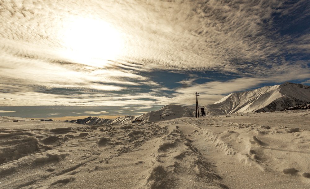 Photograph by Alex Kalpus