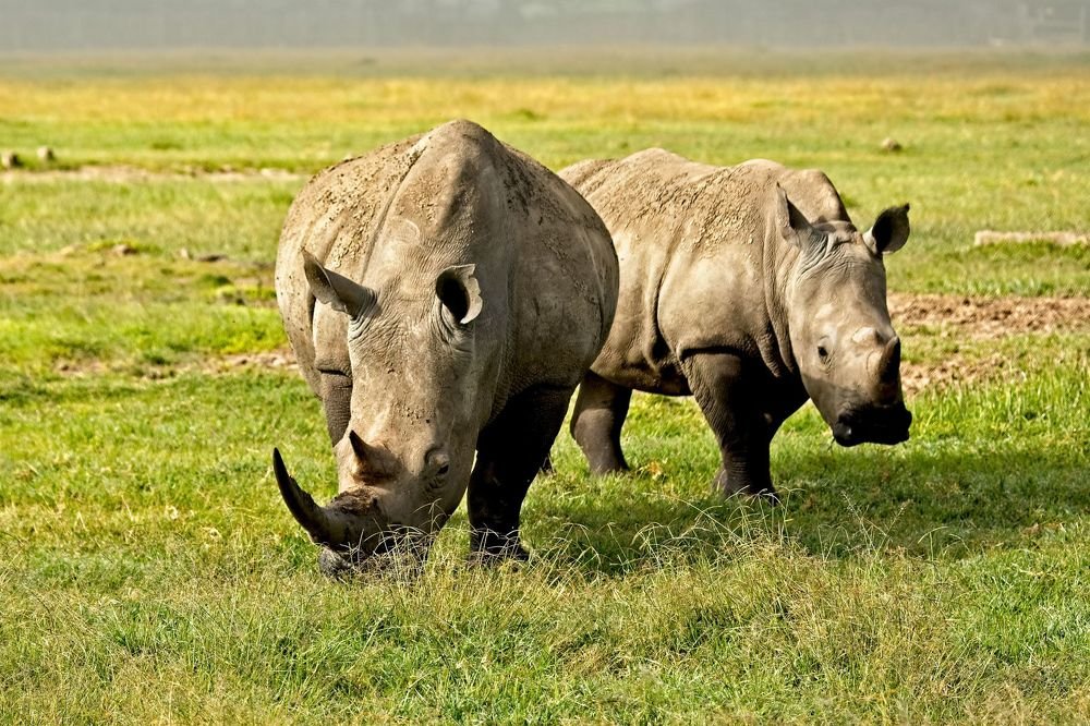 Photograph by Anant Wagle