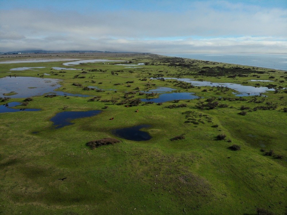 Photograph by Vairon Vidal