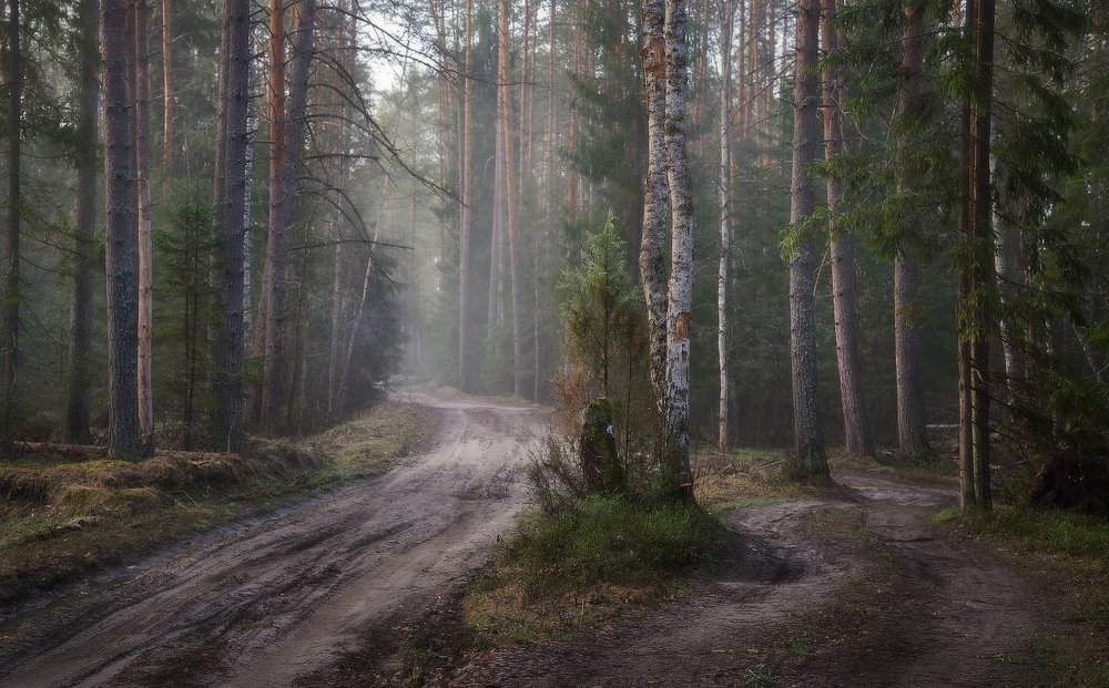 Photograph by Максим Сухов