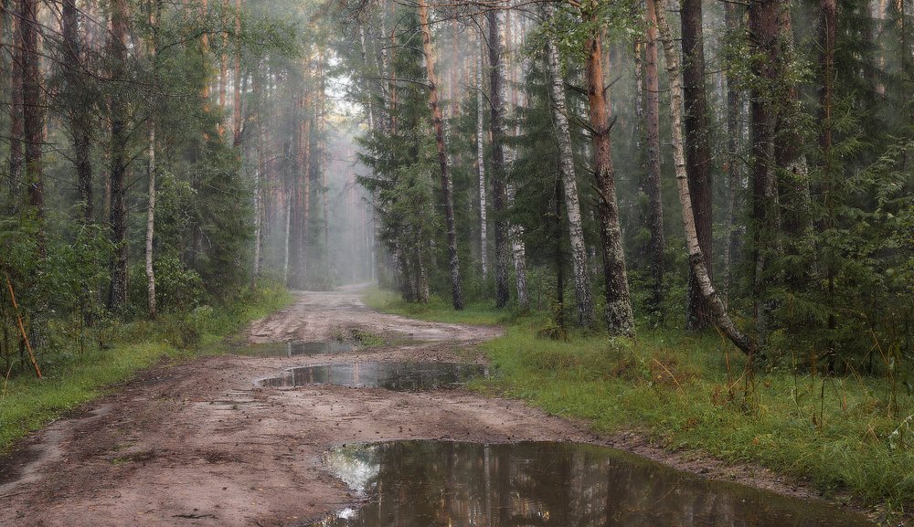 Photograph by Максим Сухов