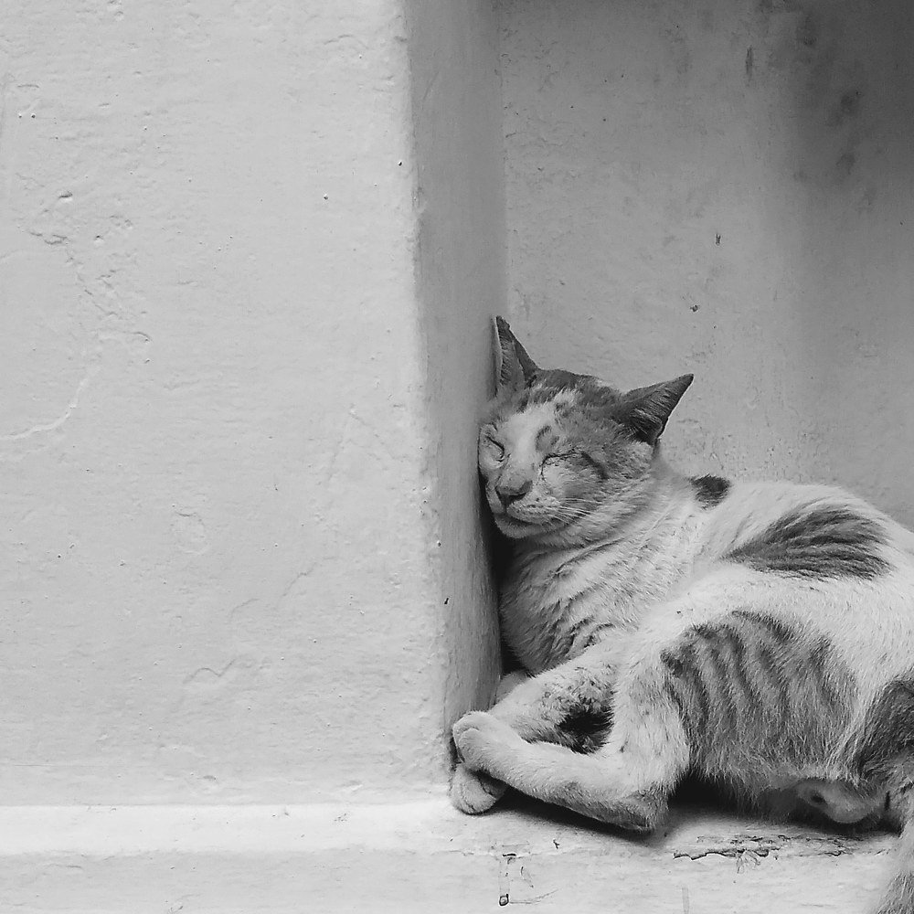 Sleep wherever possible