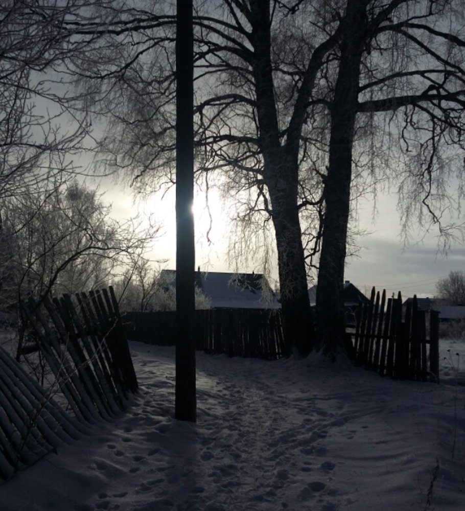Photo #4181650