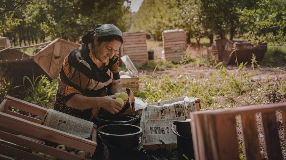 Photograph by Альберт Степченко