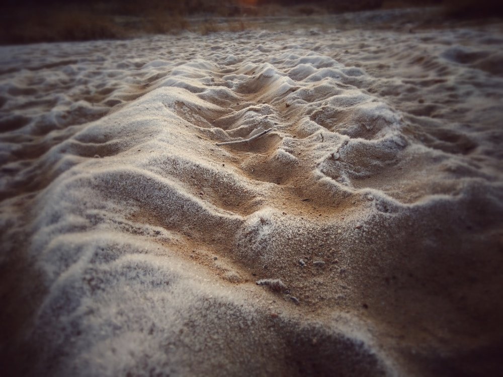 Фотография автора Виктор Конев