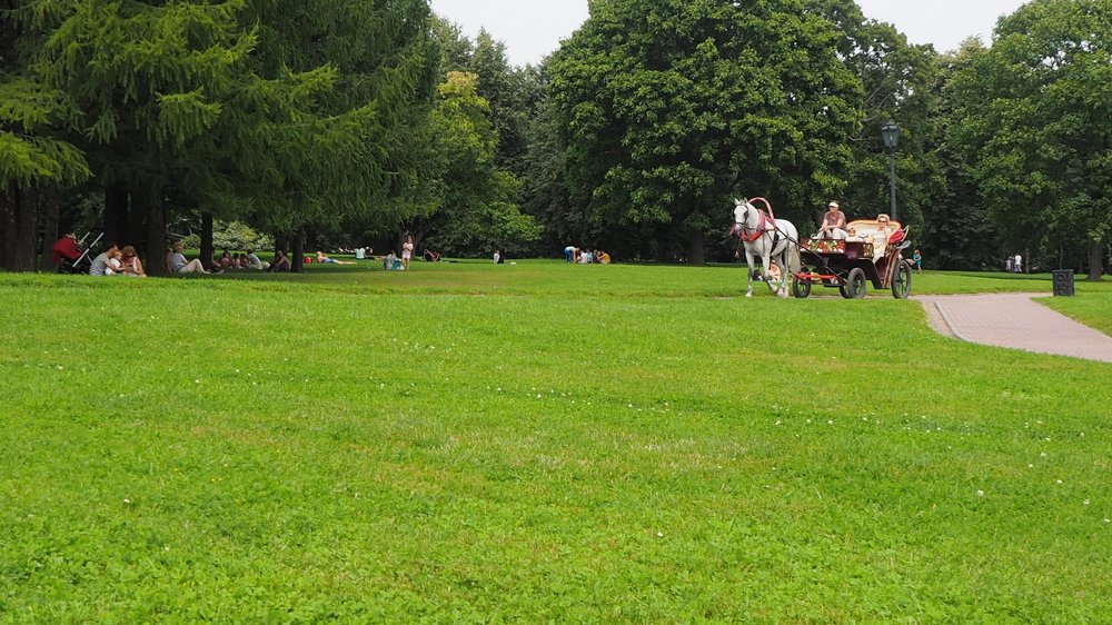 Photograph by Наталка Мазурук