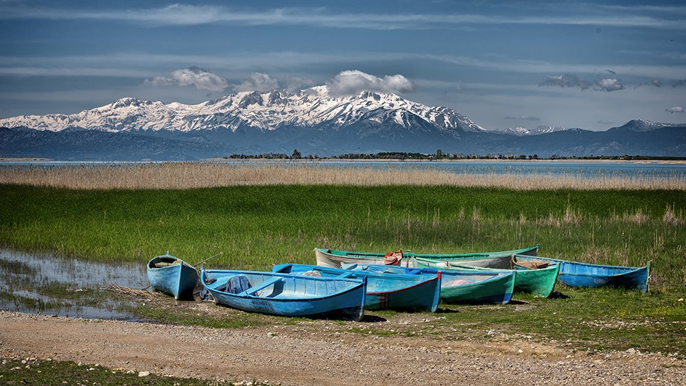 Фотография автора FATIH GONUL