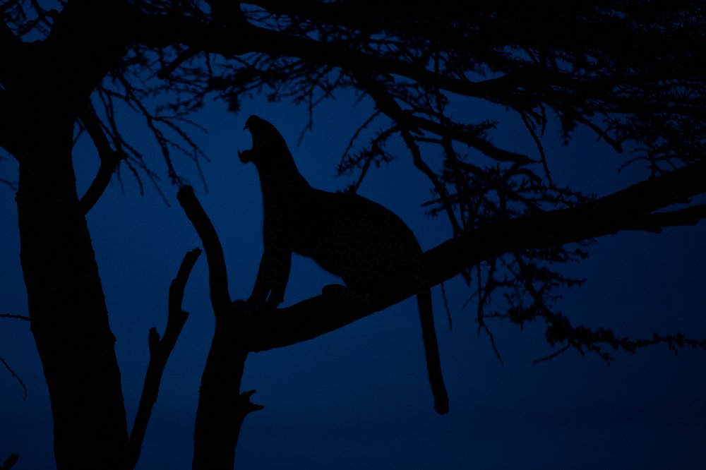 Photograph by Hicham Abouzeid