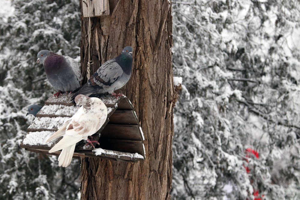 Photograph by Olga Egorova