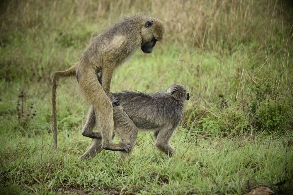 Photograph by Lucia Mwashala