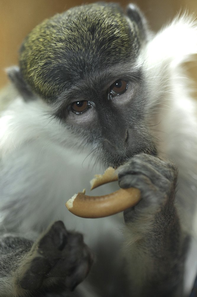 Photograph by Елена