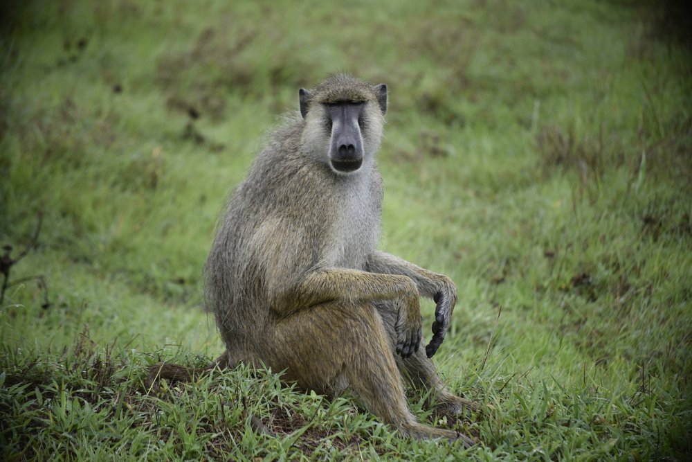 Photograph by Lucia Mwashala