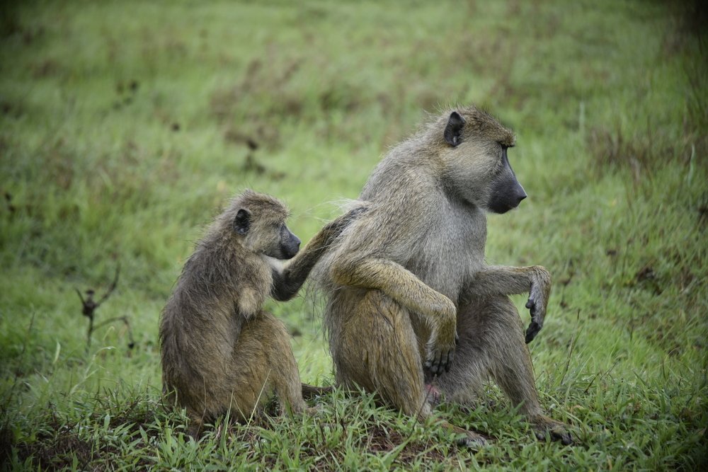 Photograph by Lucia Mwashala