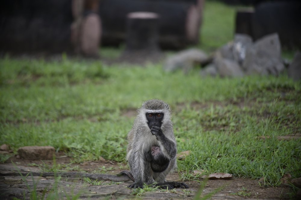 Photograph by Lucia Mwashala