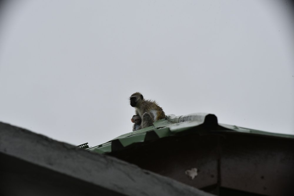 Photograph by Lucia Mwashala