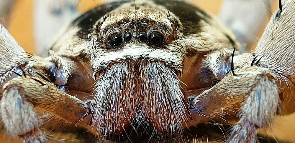 Photograph by Hayley van de Moortele