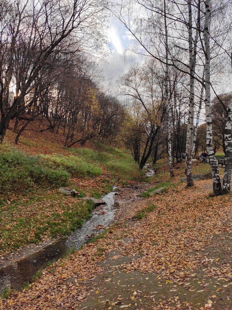 Фотография автора Вера Бокарева
