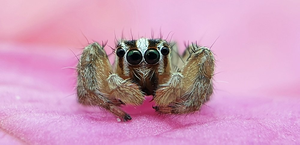 Photograph by Hayley van de Moortele