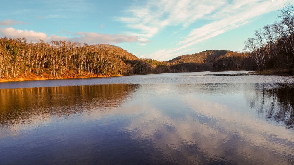 Фотография автора Olena Vorotyntseva