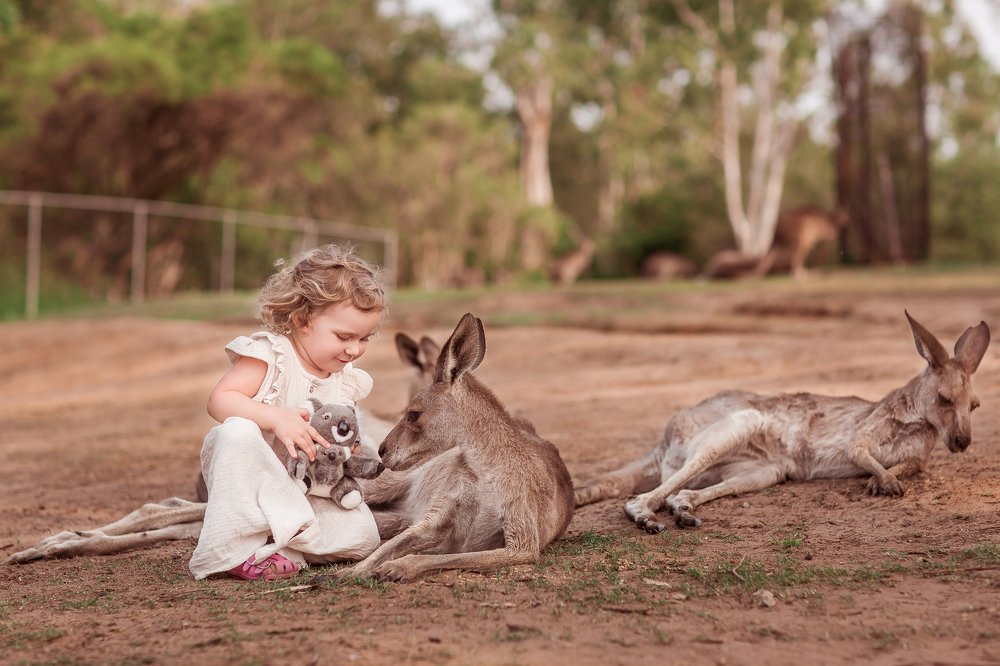 Photograph by Светлана Демина