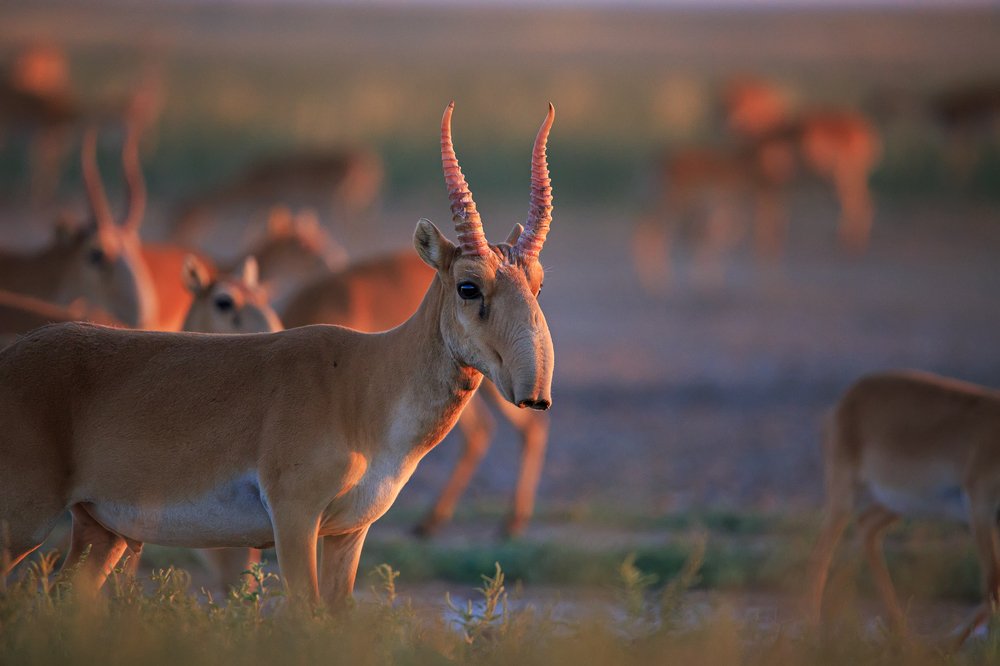 Photograph by Владимир Цветов