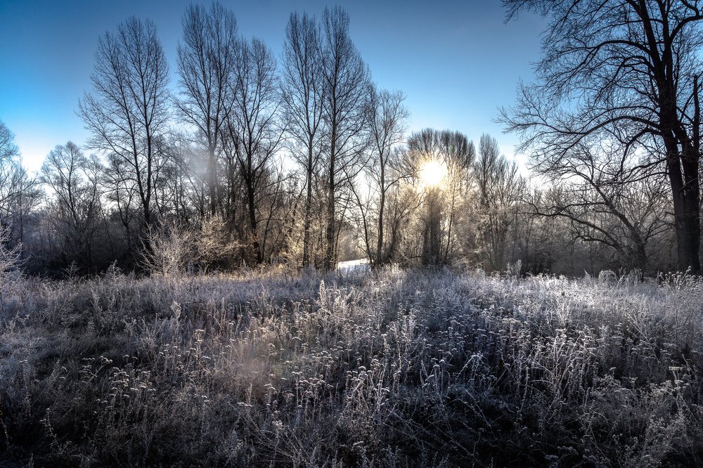 Photograph by Елена Гольдебаева