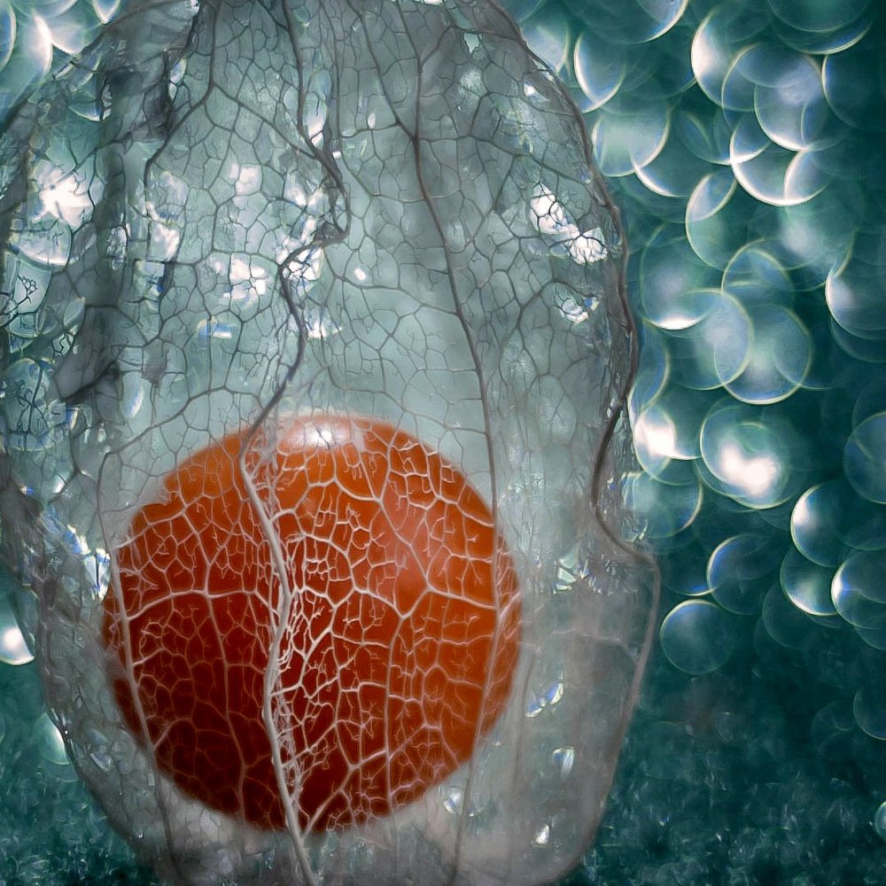 Photograph by Елена Мирзоева