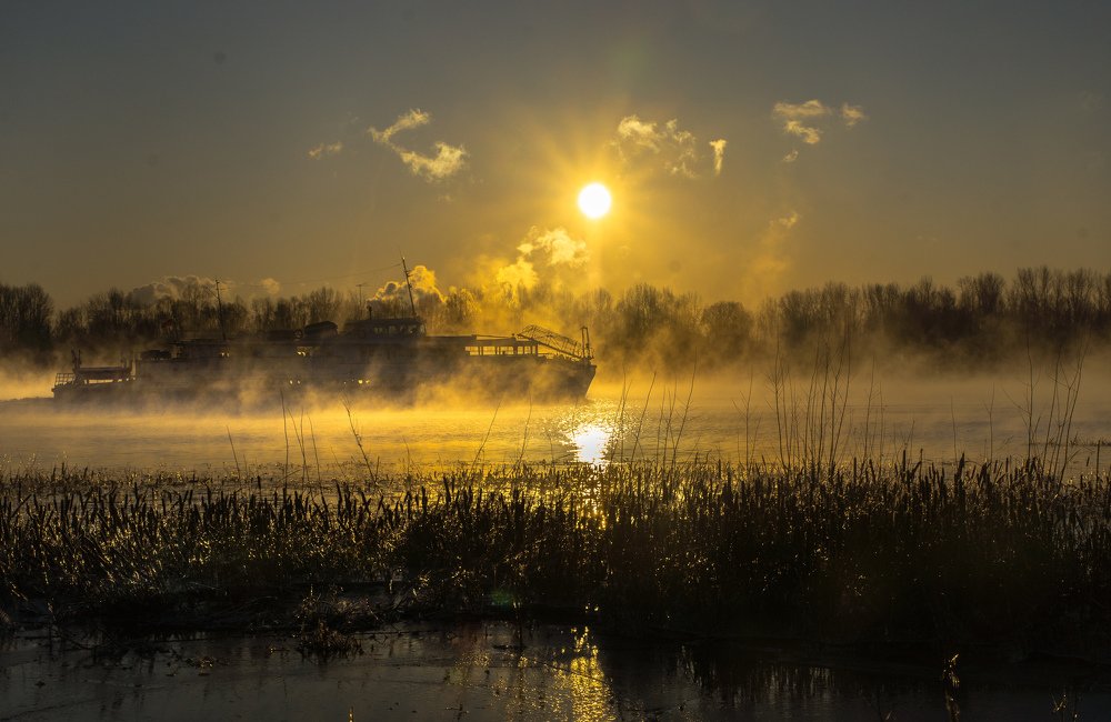 Photograph by Елена Гольдебаева