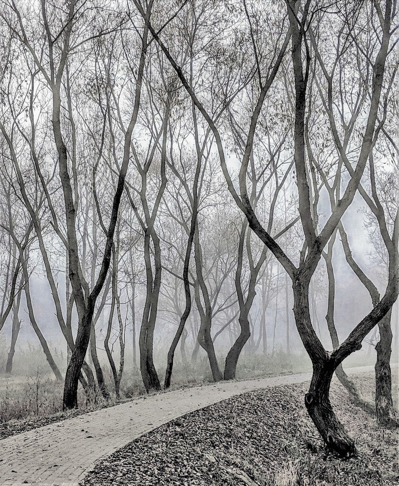 Photograph by Владимир Шнип