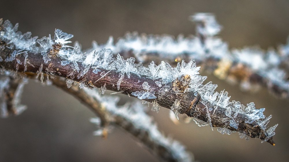 Photograph by Елена Гольдебаева