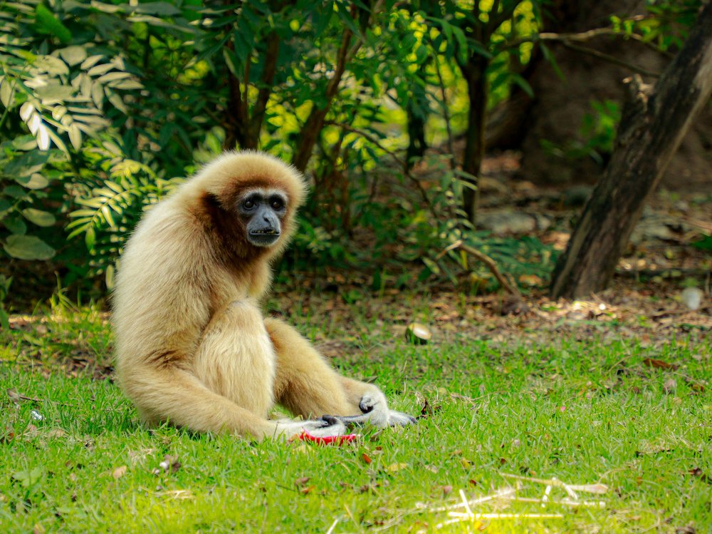Photograph by Алексей Сухачев