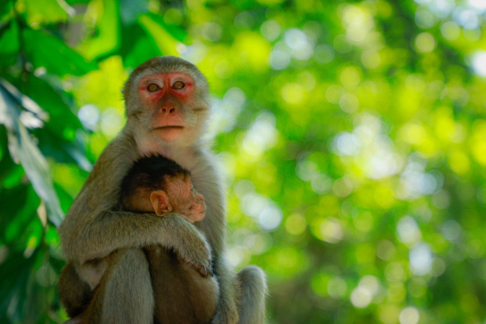 Photograph by Алексей Сухачев