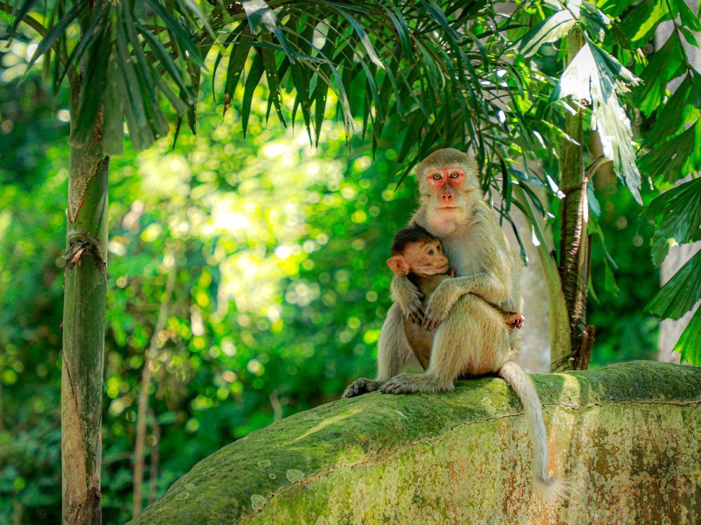 Photograph by Алексей Сухачев