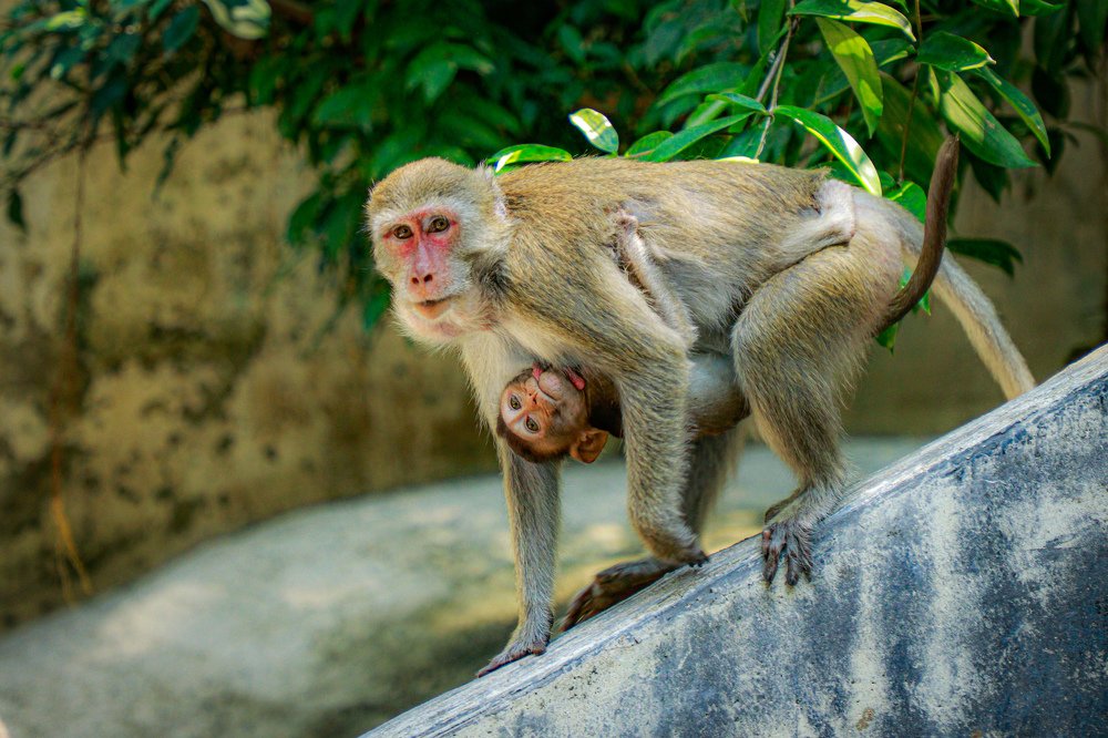 Photograph by Алексей Сухачев