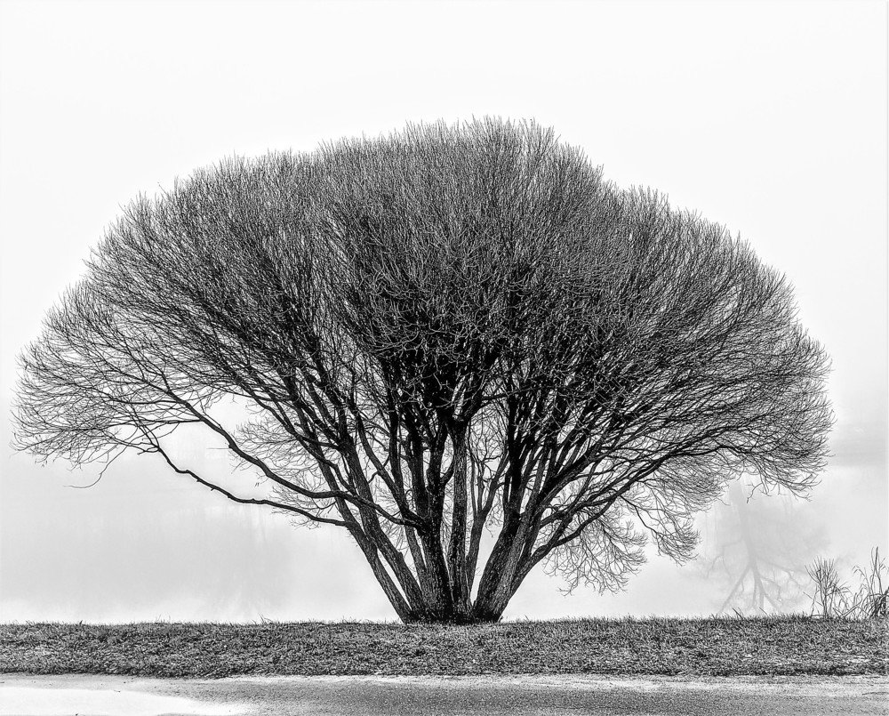 Photograph by Владимир Шнип