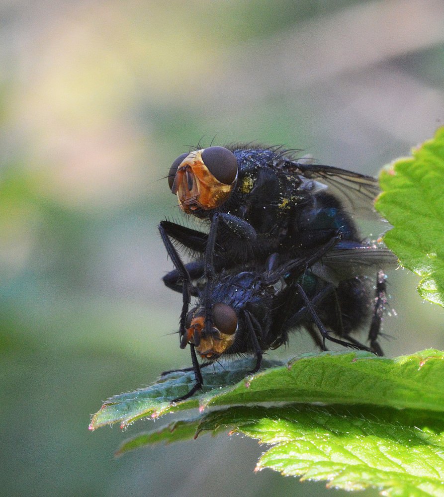 Фотография автора Сергей Суворов