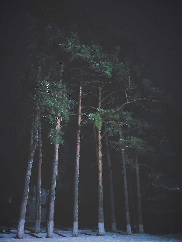 Photograph by Мария Дубова