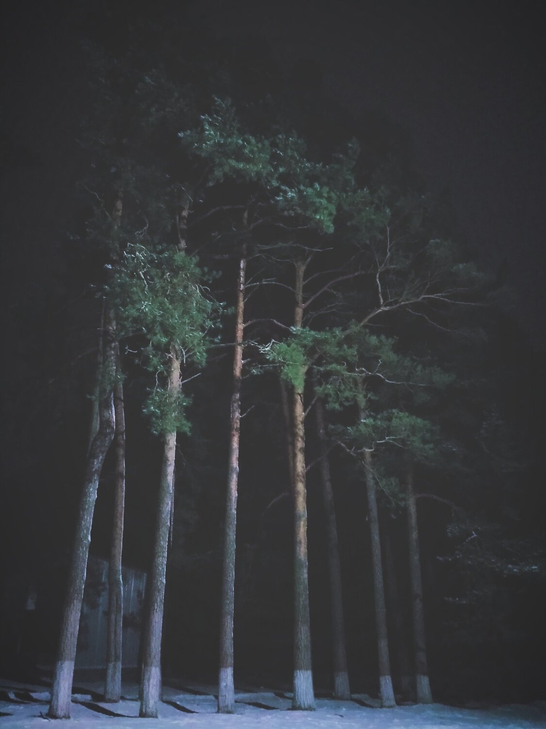 Photo #4182452