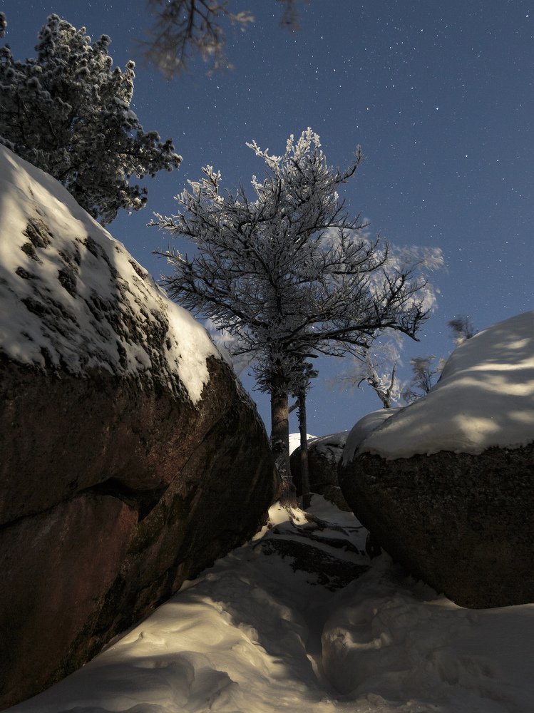 Photograph by Емельянов Саша