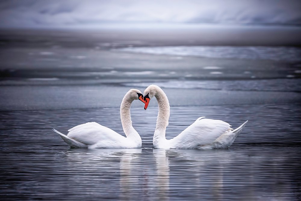 Photograph by Eddie Adamov