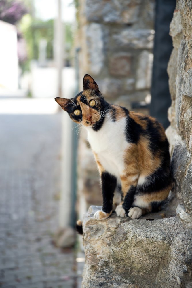 Photograph by Юлия Яровая