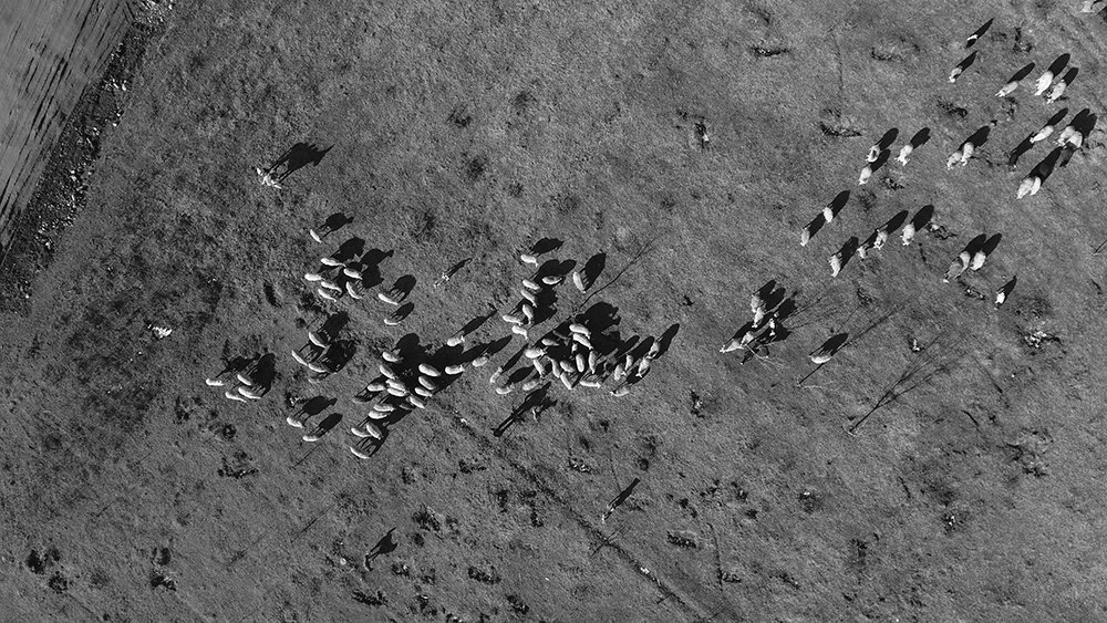 Photograph by Javad Tafti Farashah