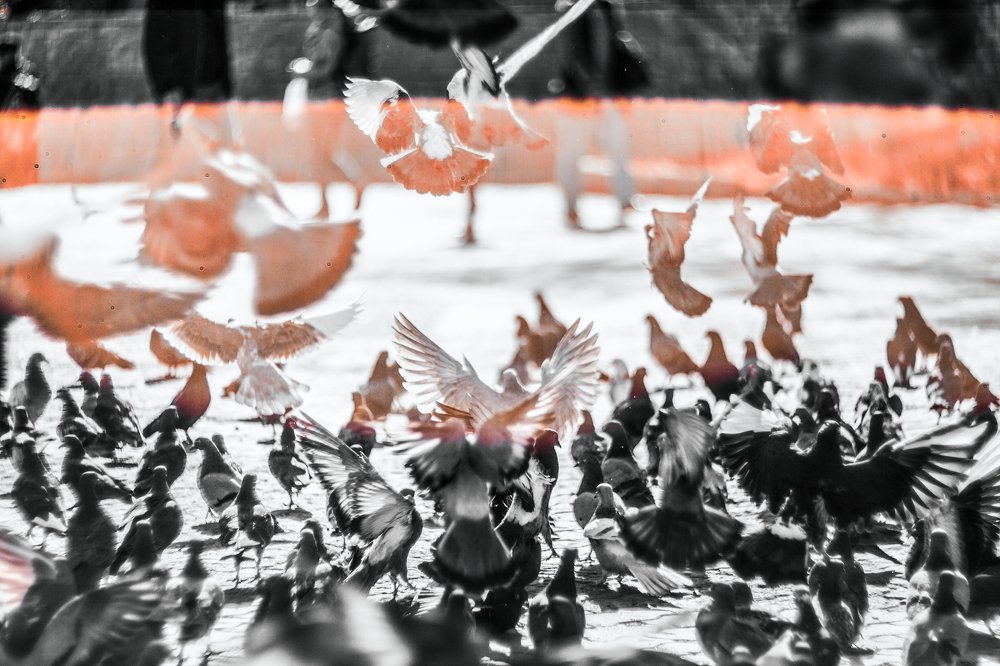 Photograph by Павел Милкин