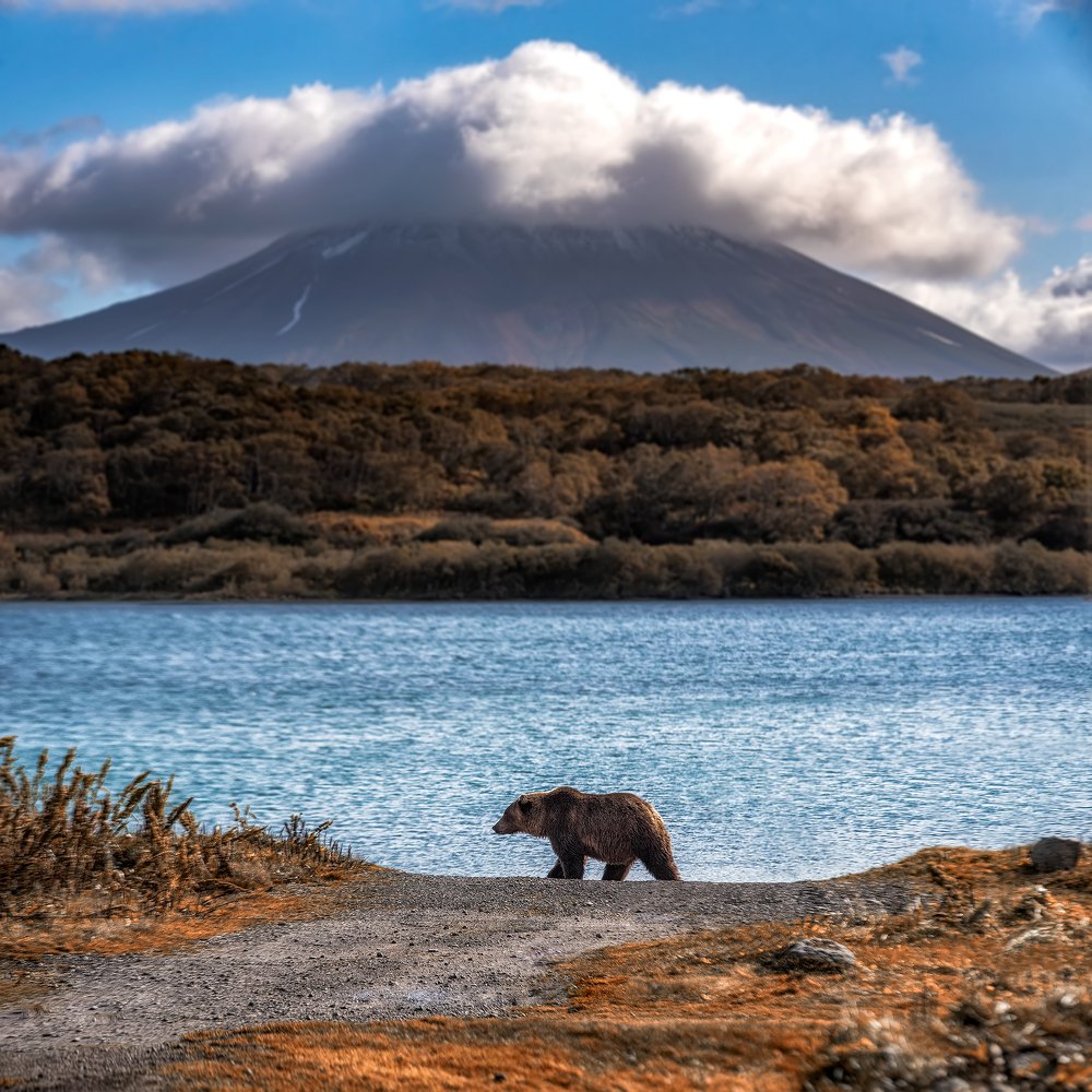 Photograph by Алексей Юницын